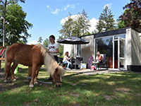 Ommerland Pony Bungalow