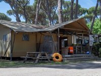 Gusto Premium Albatros