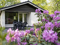 Westerbergen Woodbungalow Meidoorn