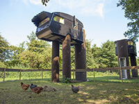 Vreemde Vogel Family Ostrich