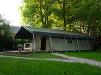 Vreemde Vogel African Migratory Bird