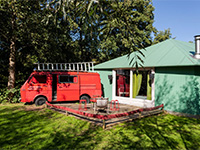 Vreemde Vogel Firebird