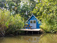 Vreemde Vogel Moorhen