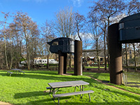 Vreemde Vogel Cosy Ostrich