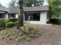 Bosgraaf group villa 12p