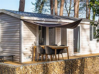 Forest Cottage 4-5