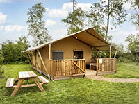 Molenwaard Adventure tent 