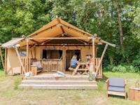 Gooise Heide Heide tent