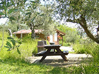 Rocca Di Sotto Wood Cabin