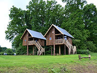 Koeksebelt Tree house