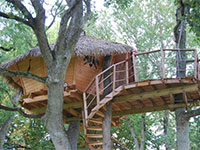 Lez-Eaux Treehouse Butterfly