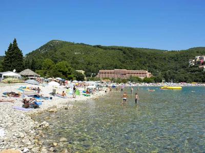 Thumbnail 3 van Oliva