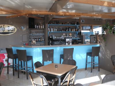 Thumbnail 2 van Haliotis