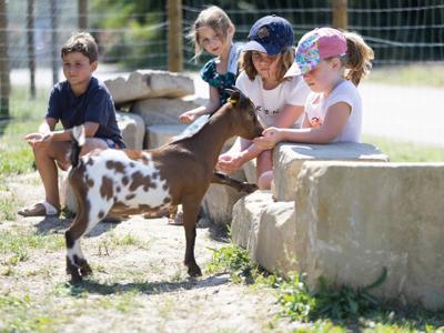 Thumbnail 5 van Le Soleil Fruité