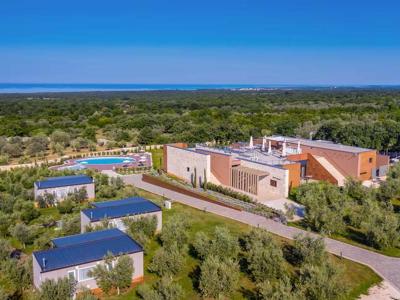 Thumbnail 4 van Papafigo