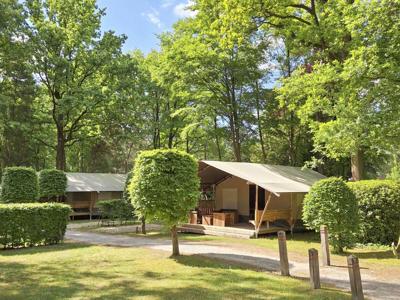 Thumbnail 5 van Floreal Het Veen