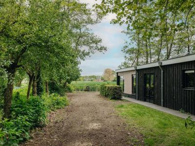 Thumbnail 4 van Ruysbos