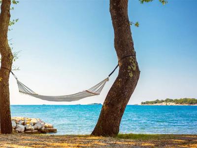 Thumbnail 2 van Puntica