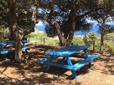 Thumbnail 5 van La Scogliera