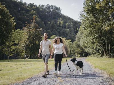 Thumbnail 5 van Signy l'Abbaye