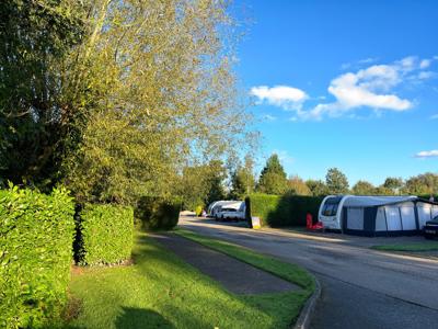 Thumbnail 5 van Royal Umpire Caravan Park