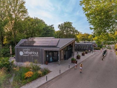 Thumbnail 5 van Delftse Hout