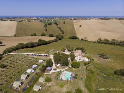 Thumbnail 4 van Tenuta Tredici Ulivi