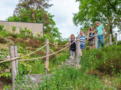 Thumbnail 4 van EuroParcs Maasduinen
