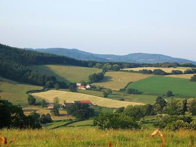 Thumbnail 3 van Morvan Rustique