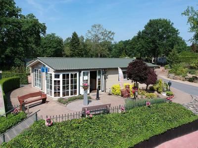 Thumbnail 3 van Roland