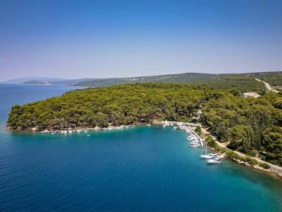 Thumbnail 2 van Bijar