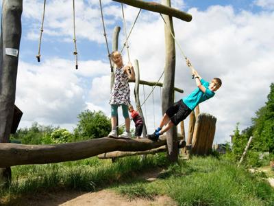 Thumbnail 5 van Alfsee Ferienpark