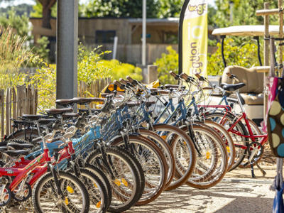 Thumbnail 5 van l'Océano d'Or