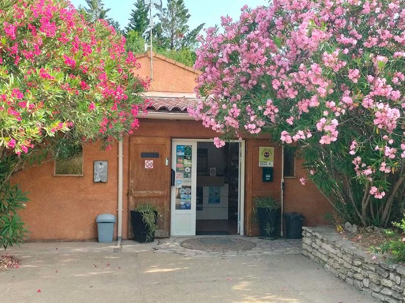 Hoofdfoto van Fontisson