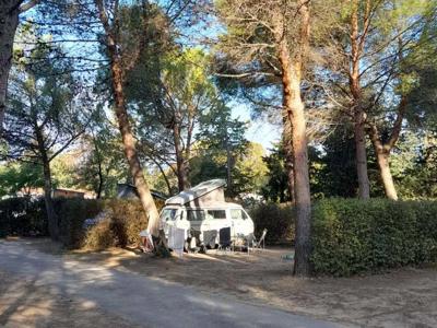 Thumbnail 5 van Fontisson