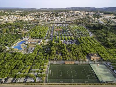 Thumbnail 2 van Creixell