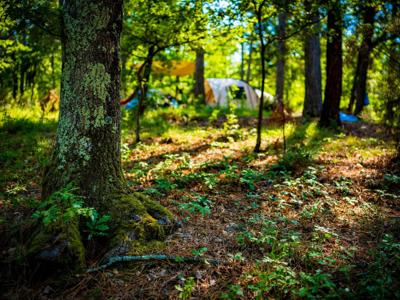 Thumbnail 5 van Agricampeggio Madonna Di Pogi