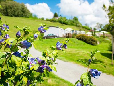 Thumbnail 4 van D'Arrouach Lourdes 