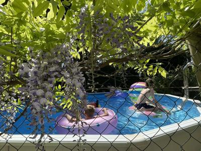 Thumbnail 4 van Les Arbois