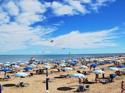 Thumbnail 4 van Pino Mare