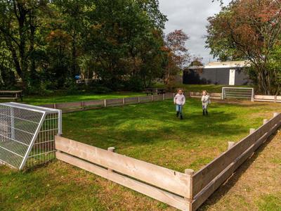 Thumbnail 3 van EuroParcs Ruinen