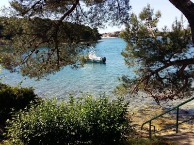 Thumbnail 5 van Indije