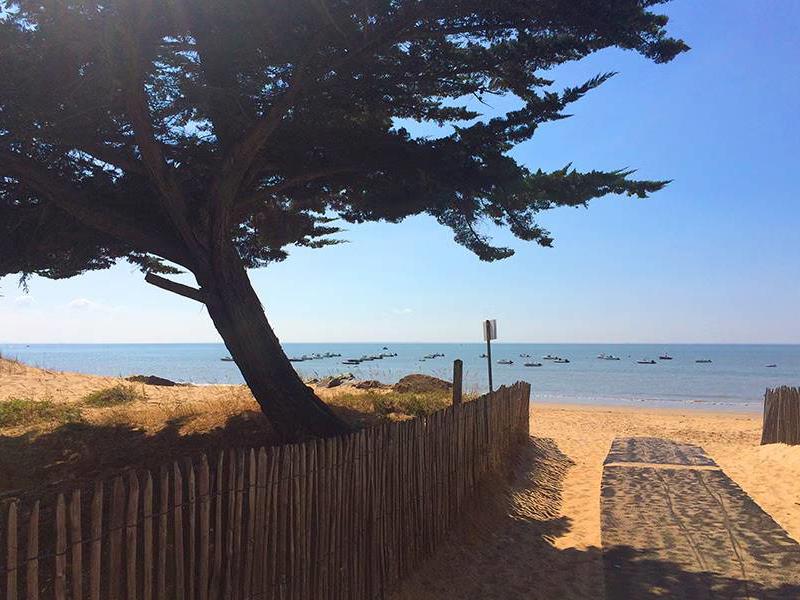 Hoofdfoto van La Grande Vallée