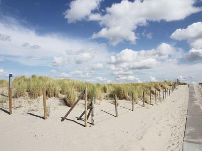 Thumbnail 4 van Haagse Strandhuisjes