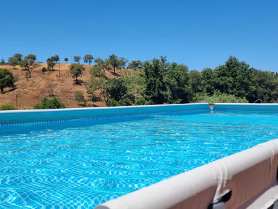 Thumbnail 4 van Casa da Vinha