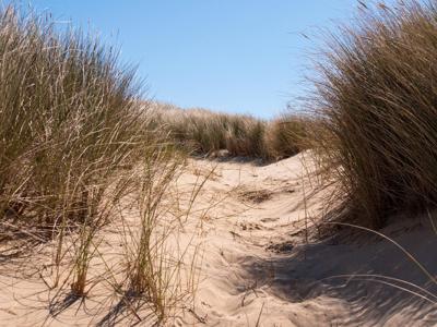 Thumbnail 3 van Fort den Haak