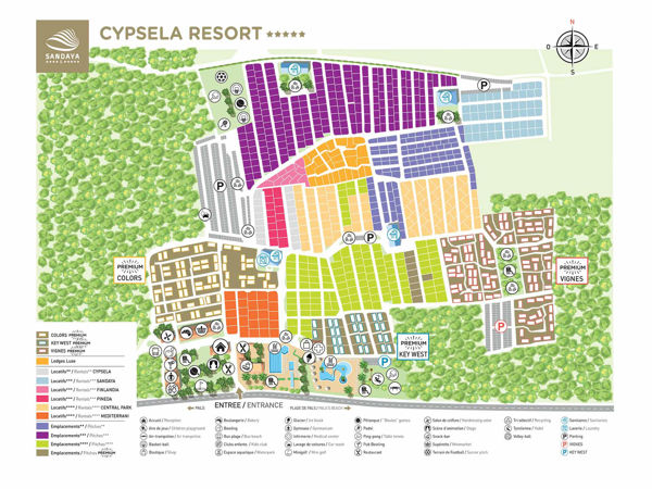 Map of Cypsela