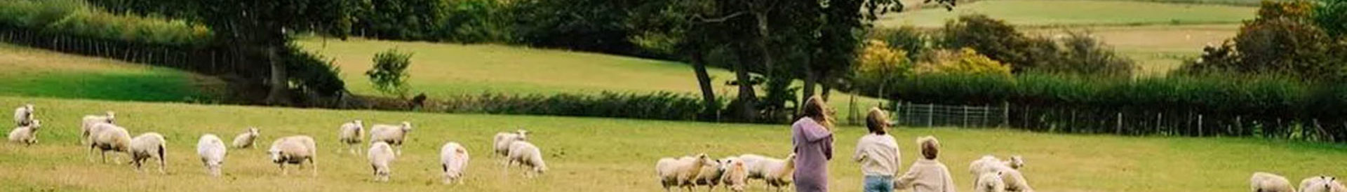 Sussex