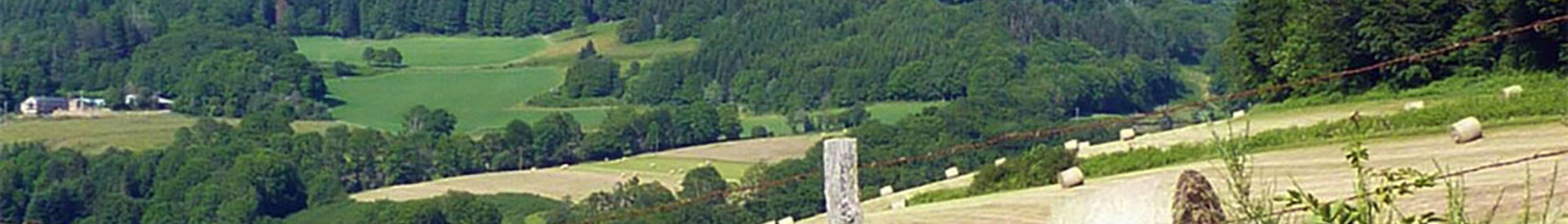 Green campsites in Languedoc-Roussillon