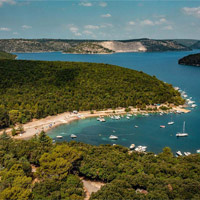 Tunarica